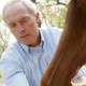 studierte Veterinärmedizin an der Tierärztlichen Hochschule in Hannover ... - Dr.HermannJosefGenn